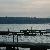 Blue Heron 91_thumb.jpg 1.4K